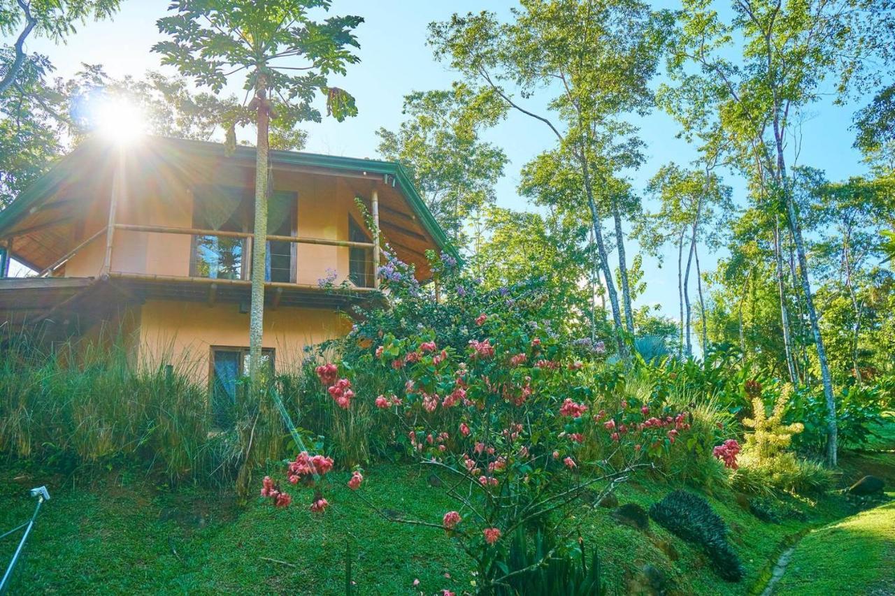 Manoas Bed & Breakfast Uvita Luaran gambar