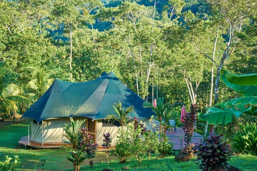 Manoas Bed & Breakfast Uvita Luaran gambar