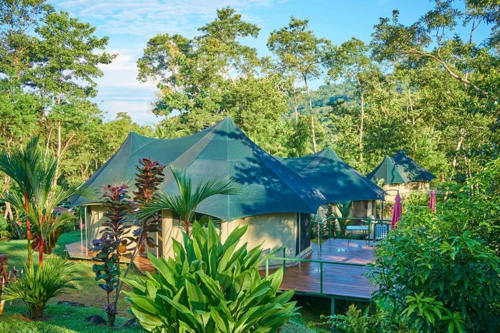 Manoas Bed & Breakfast Uvita Luaran gambar