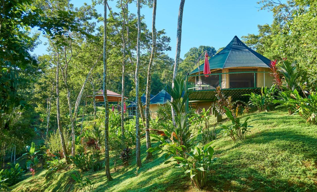 Manoas Bed & Breakfast Uvita Luaran gambar