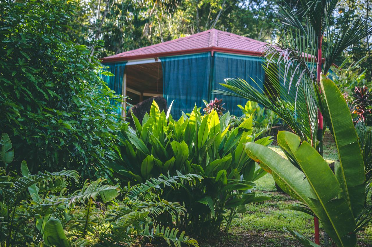 Manoas Bed & Breakfast Uvita Luaran gambar