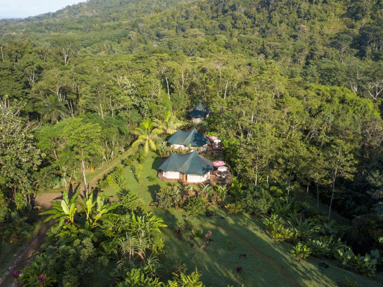 Manoas Bed & Breakfast Uvita Luaran gambar