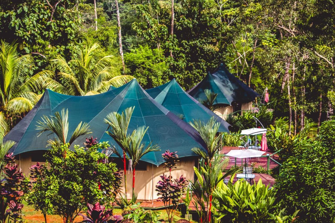 Manoas Bed & Breakfast Uvita Luaran gambar